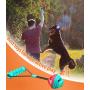 n / a Dog Chew Toys, 2 in1 Interactive Toy Teething Cleaner Toothbrush Treat Ball Sticks for Small Pet Puppy Chewers Fun Chase n / a Dog Chew Toys, 2 in1 Interactive Toy Teething Cleaner Toothbrush Treat Ball Sticks for Small Pet Puppy Chewers Fun Chase