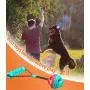 n / a Dog Chew Toys, 2 in1 Interactive Toy Teething Cleaner Toothbrush Treat Ball Sticks for Small Pet Puppy Chewers Fun Chase
