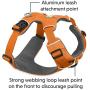 RUFFWEAR 3050-815S Front Range, Everyday No Pull Dog Harness with Front Clip, Trail Running, Walking, Hiking, All-Day Wear, Campfire Orange, Small
