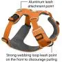 RUFFWEAR 3050-815S Front Range, Everyday No Pull Dog Harness with Front Clip, Trail Running, Walking, Hiking, All-Day Wear, Campfire Orange, Small RUFFWEAR 3050-815S Front Range, Everyday No Pull Dog Harness with Front Clip, Trail Running, Walking, Hiking, All-Day Wear, Campfire Orange, Small