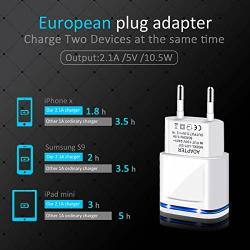 European Plug Adapter 2-Pack Europe Travel Power Adapter 2.1A/5V Dual USB Wall Charger Compatible with Phone Xs Max XR X 8 7 6 6S Plus, Pad, Samsung, LG, Moto, HTC, More Cell Phone