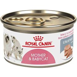 Royal Canin Feline Health Nutrition Mother and Babycat Canned Cat Food