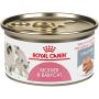 Royal Canin Feline Health Nutrition Mother and Babycat Canned Cat Food Royal Canin Feline Health Nutrition Mother and Babycat Canned Cat Food