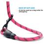 ladoogo 2 Pack 5 FT Heavy Duty Dog Leash with Comfortable Padded Handle Reflective Dog leashes for Medium Large Dogs