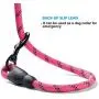 ladoogo 2 Pack 5 FT Heavy Duty Dog Leash with Comfortable Padded Handle Reflective Dog leashes for Medium Large Dogs ladoogo 2 Pack 5 FT Heavy Duty Dog Leash with Comfortable Padded Handle Reflective Dog leashes for Medium Large Dogs