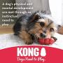 KONG Goodie Bone Dog Toy KONG Goodie Bone Dog Toy