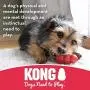 KONG Goodie Bone Dog Toy