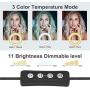 8" Selfie Ring Light with Extendable Tripod Stand & Cell Phone Holder for Live Stream Makeup - GLCON Dimmable LED Camera Ringlight for YouTube Video Tiktok Photography - Ring Light for iPhone Android