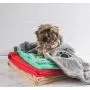 Bone Dry DII Microfiber Dog Bath Towel with Embroidered Paw Print Bone Dry DII Microfiber Dog Bath Towel with Embroidered Paw Print