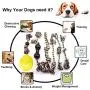 Dog Toys Dog Rope Toy For Aggressive Chewers, Puppy Teething Chew Toys, Dog Chew Toys For Puppies Teething Small Dogs, Puppy Toys For Boredom, Dog Tug Of War Toy Rope Puppy Chew Toys For Dogs