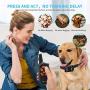 Dog Training Collar with Remote-Shock Collar for Dogs Large,Medium,Small-Waterproof E-Collar w/ 3 Correction Modes, Beep, Vibration,Shock｜Pet Tech Dog Collar offer 1~100 Shock Levels ,1600ft Remote