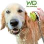 Wondurdog Quality at Home Dog Wash Kit for Shower | Water Sprayer Brush & Rubber Shield | Wash Your Pet and Dont Get Wet | Shield Water from Dogs Ears, Eyes and Yourself!