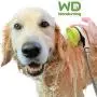 Wondurdog Quality at Home Dog Wash Kit for Shower | Water Sprayer Brush & Rubber Shield | Wash Your Pet and Dont Get Wet | Shield Water from Dogs Ears, Eyes and Yourself! Wondurdog Quality at Home Dog Wash Kit for Shower | Water Sprayer Brush & Rubber Shield | Wash Your Pet and Dont Get Wet | Shield Water from Dogs Ears, Eyes and Yourself!
