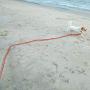 Vivifying Dog Check Cord, 20FT/6M Floatable Long Dog Training Rope with Handle for Beach, Lake