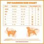 Voyager Step-in Air Dog Harness - All Weather Mesh, Step in Vest Harness for Small and Medium Dogs by Best Pet Supplies