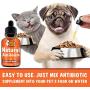 GOODGROWLIES Natural Antibiotic for Dogs and Cats - Kennel Cough Medicine for Pets - Immune System Booster - Allergy Relief Health Supplement - UTI Treatment - Made in USA - 2oz