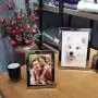 decanit 3.5x5 Picture Frames Silver Metal Photo Frames for Tabletop Display and Wall Decoration-Best Gifts for Family