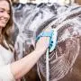 Aquapaw New Equine Grooming Tool - Bath Curry Sprayer and Scrubber in One for Horse, Large Dog, and Livestock Bathing- Garden Hose Adapter Included