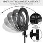 SAMTIAN LED Ring Light 14 Inches Outer YouTube Light 180 Dimmable LED Lighting Kit with 2M Light Stand, Cradle Head, Phone Holder for Video Shooting, YouTube, TikTok, Portraiture, Makeup