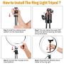 HAUEA Selfie Ring Light with Tripod Stand 10”LED Ring Light with 25 RGB Modes Dimmable Led Camera Ring Light with Two Remote Control & Phone Holder Circle Light for Live Stream/Makeup/YouTube Video