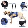 COODEO Dog Lift Harness, Full Body Support & Recovery Sling, Pet Rehabilitation Lifts Vest Adjustable Breathable Straps for Old, Disabled, Joint Injuries, Arthritis, Paralysis Dogs Walk