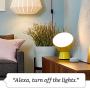 Amazon Smart Plug, works with Alexa – A Certified for Humans Device