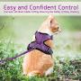rabbitgoo Cat Harness and Leash for Walking, Escape Proof Soft Adjustable Vest Harnesses for Medium Large Cats, Easy Control Breathable Pet Safety Jacket with Reflective Strips & 1 Metal Leash Ring