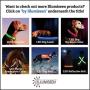 Illumiseen LED Dog Collar - USB Rechargeable - Available in 6 Colors & 6 Sizes - Makes Your Dog Visible, Safe & Seen