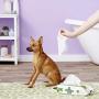 Pogis Grooming Wipes - Hypoallergenic Pet Wipes for Dogs & Cats - Plant-Based, Earth-Friendly, Deodorizing Dog Wipes