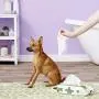 Pogis Grooming Wipes - Hypoallergenic Pet Wipes for Dogs & Cats - Plant-Based, Earth-Friendly, Deodorizing Dog Wipes Pogis Grooming Wipes - Hypoallergenic Pet Wipes for Dogs & Cats - Plant-Based, Earth-Friendly, Deodorizing Dog Wipes