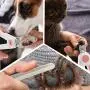 XINKYD Dog & Cat Pets Nail Clippers and Trimmers - with Transparent Cover to Avoid Nail Flying, Free Nail File, Razor Sharp Blade - Professional Grooming Tool for Large and Small Animals