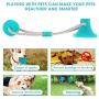 CHARMINER Pet Molar Bite Toy, Self Playing Dog Toy Suction Cup, Rubber Chew Ball Toy with Rope, Tug Dog Toy for Playing Tugging Pulling Chewing, Fit for Small, Large Dogs/Cats