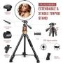 10" Ring Light with Stand and Phone Holder, HQOON Upgraded LED Selfie Ringlight with 52" Extendable Tripod Stand for Makeup/Photography/Live Stream/Video Recording, Compatible with Phones and Cameras