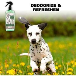 Wahl Deodorizing & Refreshing Pet Deodorant for Dogs - Eucalyptus & Spearmint for Coat Shine & Strengthening - 8 Oz