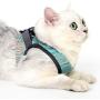 Heywean Cat Harness and Leash - Ultra Light Escape Proof Kitten Collar Cat Walking Jacket with Running Cushioning Soft and Comfortable Suitable for Puppies Rabbits