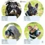Gentle Muzzle Guard for Dogs - Prevents Biting Unwanted Chewing Safely Secure Comfort Fit - Soft Neoprene Padding – No More Chafing – Included Training Guide Helps Build Bonds Pet Gentle Muzzle Guard for Dogs - Prevents Biting Unwanted Chewing Safely Secure Comfort Fit - Soft Neoprene Padding – No More Chafing – Included Training Guide Helps Build Bonds Pet