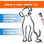 Wahl Cornflower Aloe Pet Deodorant for Dogs & Puppies – Clean Fresh Smell for Refreshing & Deodorizing – 8 Oz