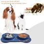 Vivaglory Dog Bowls Stainless Steel Water and Food Feeder with Non Spill Skid Resistant Silicone Mat for Pets Puppy Small Medium Dogs