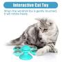 TOOGE Windmill Cat Toy Turntable Teasing Interactive Cat Toys for Indoor Cats with Suction Cup Scratching Tickle Cats Hair Brush Funny Kitten Toys with Catnip and Bells