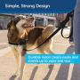 PetSafe Nylon Dog Leash, Strong, Durable, Traditional Style Leash with Easy to Use Bolt Snap - Available in Multiple Widths and Colors