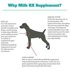 Brand New! Advanced Milk Rx Supplement | VETERINARIAN-GRADE Dog Milk Powder Enriched w/ Colostrum | Used as Nutritious Puppy Milk Formula AND Nourishment for Pregnant, Lactating and Aging Dogs | 12 oz