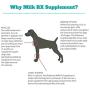 Brand New! Advanced Milk Rx Supplement | VETERINARIAN-GRADE Dog Milk Powder Enriched w/ Colostrum | Used as Nutritious Puppy Milk Formula AND Nourishment for Pregnant, Lactating and Aging Dogs | 12 oz