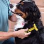 Pet Grooming Brush Effectively Reduces Shedding by up to 95% Professional Deshedding Tool for Dogs and Cats
