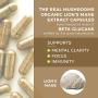 Lions Mane Mushroom Cognition Capsules 120 Caps each, Organic Lions Mane Mushroom Powder Extract Capsules Brain Supplement, 60Day Supply Organic Mushroom Supplement Brain Vitamins Focus Supplement