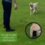 POOCHY - Your Dogs Poop in A Bag is The Most Comfortable, Clean, Healthy, Indoor and Outdoor Solution for Regular Relief – For dogs 22-99lbs with minimum tails ¾ Inch thick and 3 Inches long POOCHY - Your Dogs Poop in A Bag is The Most Comfortable, Clean, Healthy, Indoor and Outdoor Solution for Regular Relief – For dogs 22-99lbs with minimum tails ¾ Inch thick and 3 Inches long