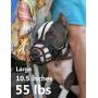 Pettycart Dog Muzzle, Soft Basket Muzzle for Medium Large Dogs, Best to Prevent Biting, Chewing and Barking