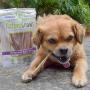 Nature Gnaws Extra Thin Bully Sticks for Dogs - Premium Natural Beef Bones - Long Lasting Dog Chew Treats for Small Dogs & Puppies - Rawhide Free - 6 Inch