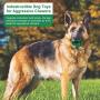 Dog Toys for Aggressive Chewers Large Breed, Lifetime Replacement Guarantee, Indestructible Dog Chew Toys for Large Medium Small Dogs, Grenade Interactive Dog Toys, Food Grade Tough Dog Toys Dog Toys for Aggressive Chewers Large Breed, Lifetime Replacement Guarantee, Indestructible Dog Chew Toys for Large Medium Small Dogs, Grenade Interactive Dog Toys, Food Grade Tough Dog Toys