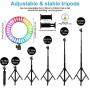 10" RGB Selfie Ring Light LED Desk Ring Light with Tripod Stand and Cell Phone Holder, USB Circle Light for YouTube Video, Makeup, Live Stream, Photography