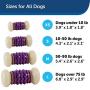 PetSafe Busy Buddy Nobbly Nubbly Treat Holding Dog Toy – Strong Chewers – Extra Small, Small, Medium, Large